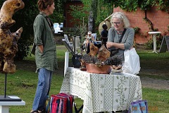 DSC09337