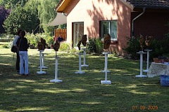 DSC09401