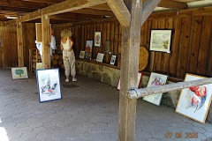 DSC09409